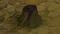 Oliviolet Stump
