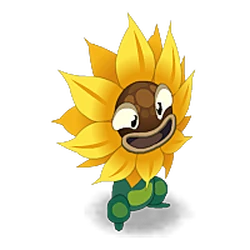 Wild Sunflower