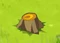 Chestnut Stump