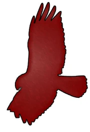 A stylized hawk