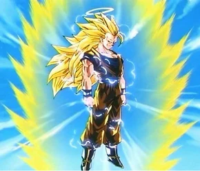 Goku in his Super Saiyan 3 form.