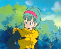 Bulma in Frieza Saga.