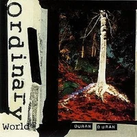 "Ordinary World" cover