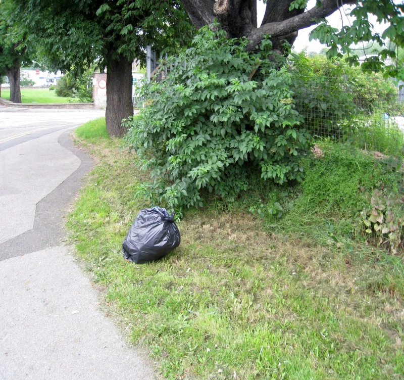 2009-06-27 Green Lane