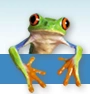 Image:Frogk.png