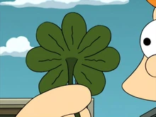 Fry's seven leaf clover