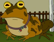 The Hypno-Toad.