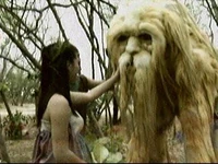 Awoo being groomed by a diwata