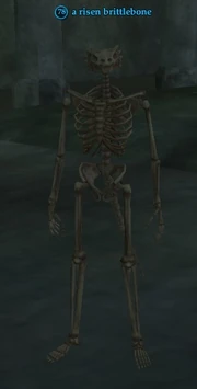 A risen brittlebone