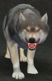 Race: Wolf - to upload a more specific image, click here