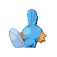 Mudkip