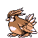 pidgey