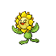 Imagen de Sunflora macho o hembra en Pokémon Diamante y Perla