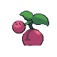 Cherubi