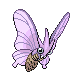 Venomoth