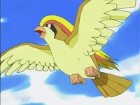 Archivo:EP276 Pidgeot de la Oficial Jenny.PNG