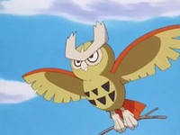 Noctowl de Ash