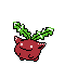 Imagen de Hoppip en Pokémon Cristal