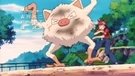 Imagen de Mankey