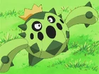 Cacnea de Gardenia