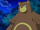 Ursaring de Paul/Polo