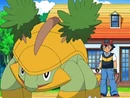 Grotle de Ash