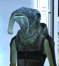 Shaelas informa a Revan sobre el secuestro de los jóvenes Selkath.