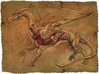 Organe eines Drachen