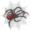 File:Wolf_Spider_Battalion.jpg