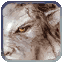 Image:Blooded werewolf.gif