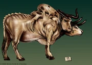 A brahmin with two male heads and something nasty on its back (FOT concept art)