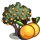Peach Tree