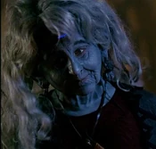 Noranti/Chiana