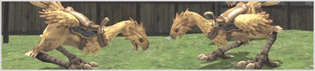 Image:ChocoboHeadline.gif