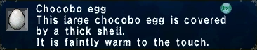 Chocobo Egg (Faintly Warm)