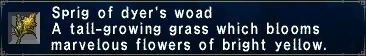 Image:Dyer's Woad.jpg