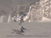 Nival Raptor