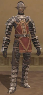 A Elvaan male in full Royal Squire's Chainmail.