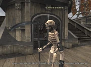 Crossbones