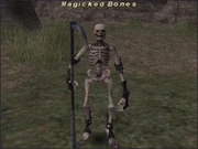 Magicked Bones