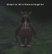 Qiqirn Archaeologist