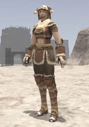 A Hume Beastmaster in full Beastmaster Relic Armor