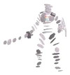 Humanoid form