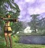 Ranger