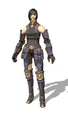Warrior Relic Armor