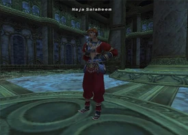 Naja in battle