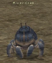 River Crab
