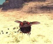 Gnat