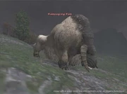 Rampaging Ram