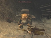 Moblin Tankman